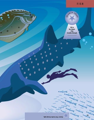 F I S H
35
Answer:Fishbreathethroughgills.
★
Fill in
the blank.
Fish
breathe through
___________.
SEA
RCH LI
GHT
 