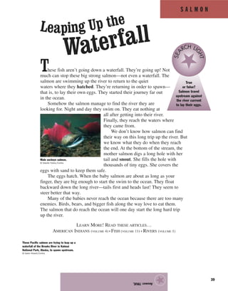 S A L M O N
39
These fish aren’t going down a waterfall. They’re going up! Not
much can stop these big strong salmon—not even a waterfall. The
salmon are swimming up the river to return to the quiet
waters where they hatched. They’re returning in order to spawn—
that is, to lay their own eggs. They started their journey far out
in the ocean.
Somehow the salmon manage to find the river they are
looking for. Night and day they swim on. They eat nothing at
all after getting into their river.
Finally, they reach the waters where
they came from.
We don’t know how salmon can find
their way on this long trip up the river. But
we know what they do when they reach
the end. At the bottom of the stream, the
mother salmon digs a long hole with her
tail and snout. She fills the hole with
thousands of tiny eggs. She covers the
eggs with sand to keep them safe.
The eggs hatch. When the baby salmon are about as long as your
finger, they are big enough to start the swim to the ocean. They float
backward down the long river—tails first and heads last! They seem to
steer better that way.
Many of the babies never reach the ocean because there are too many
enemies. Birds, bears, and bigger fish along the way love to eat them.
The salmon that do reach the ocean will one day start the long hard trip
up the river.
LEARN MORE! READ THESE ARTICLES…
AMERICAN INDIANS (VOLUME 4) • FISH (VOLUME 11) • RIVERS (VOLUME 1)
Answer:TRUE.
★Male sockeye salmon.
© Natalie Fobes/Corbis
These Pacific salmon are trying to leap up a
waterfall of the Brooks River in Katmai
National Park, Alaska, to spawn upstream.
© Galen Rowell/Corbis
True
or false?
Salmon travel
upstream against
the river current
to lay their eggs.
SEA
RCH LI
GHT
Leaping Up the
Waterfall
 