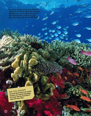 There is an amazing variety of sea life on and
around the Great Barrier Reef. There are about
400 types of hard coral, about 215 types of
birds, and more than 1,500 types of fish,
many with bright colors and unusual shapes.
© Australian Picture Library/Corbis
DID YOU KNOW?
The Great Barrier Reef is the largest
structure ever built by living things.
It is longer than the Great Wall of
China and much wider.
44
 