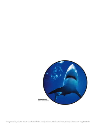 Cover photos (top): great white shark, © Amos Nachoum/Corbis; (center): chameleon, © David Aubrey/Corbis; (bottom): scarlet macaw, © Craig Tuttle/Corbis
Great white shark
© Amos Nachoum/Corbis
 
