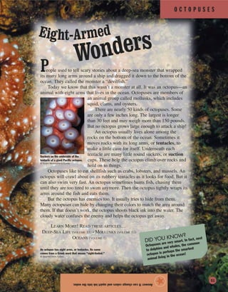 O C T O P U S E S
Answer:Itcanchangecolorsandsquirtinkintothewater.
★
People used to tell scary stories about a deep-sea monster that wrapped
its many long arms around a ship and dragged it down to the bottom of the
ocean. They called the monster a “devilfish.”
Today we know that this wasn’t a monster at all. It was an octopus—an
animal with eight arms that lives in the ocean. Octopuses are members of
an animal group called mollusks, which includes
squid, clams, and oysters.
There are nearly 50 kinds of octopuses. Some
are only a few inches long. The largest is longer
than 30 feet and may weigh more than 150 pounds.
But no octopus grows large enough to attack a ship!
An octopus usually lives alone among the
rocks on the bottom of the ocean. Sometimes it
moves rocks with its long arms, or tentacles, to
make a little cave for itself. Underneath each
tentacle are many little round suckers, or suction
cups. These help the octopus climb over rocks and
hold on to things.
Octopuses like to eat shellfish such as crabs, lobsters, and mussels. An
octopus will crawl about on its rubbery tentacles as it looks for food. But it
can also swim very fast. An octopus sometimes hunts fish, chasing them
until they are too tired to swim anymore. Then the octopus tightly wraps its
arms around the fish and eats them.
But the octopus has enemies too. It usually tries to hide from them.
Many octopuses can hide by changing their colors to match the area around
them. If that doesn’t work, the octopus shoots black ink into the water. The
cloudy water confuses the enemy and helps the octopus get away.
LEARN MORE! READ THESE ARTICLES…
DEEP-SEA LIFE (VOLUME 11) • MOLLUSKS (VOLUME 11)
OCEANS (VOLUME 1)
Suckers on the underside of the
tentacle of a giant Pacific octopus.
© Stuart Westmorland/Corbis
An octopus has eight arms, or tentacles. Its name
comes from a Greek word that means “eight-footed.”
© Stephen Frink/Corbis
DID YOU KNOW?
Octopuses are very smart. In fact, next
to dolphins and whales, the common
octopus is perhaps the smartest
animal living in the ocean!
Eight-Armed
Wonders
51
 