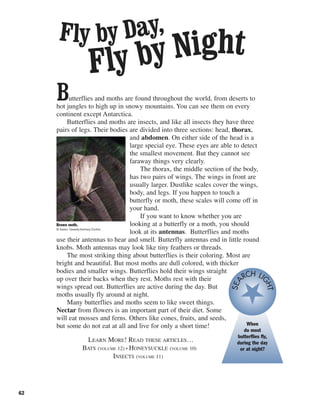 62
Butterflies and moths are found throughout the world, from deserts to
hot jungles to high up in snowy mountains. You can see them on every
continent except Antarctica.
Butterflies and moths are insects, and like all insects they have three
pairs of legs. Their bodies are divided into three sections: head, thorax,
and abdomen. On either side of the head is a
large special eye. These eyes are able to detect
the smallest movement. But they cannot see
faraway things very clearly.
The thorax, the middle section of the body,
has two pairs of wings. The wings in front are
usually larger. Dustlike scales cover the wings,
body, and legs. If you happen to touch a
butterfly or moth, these scales will come off in
your hand.
If you want to know whether you are
looking at a butterfly or a moth, you should
look at its antennas. Butterflies and moths
use their antennas to hear and smell. Butterfly antennas end in little round
knobs. Moth antennas may look like tiny feathers or threads.
The most striking thing about butterflies is their coloring. Most are
bright and beautiful. But most moths are dull colored, with thicker
bodies and smaller wings. Butterflies hold their wings straight
up over their backs when they rest. Moths rest with their
wings spread out. Butterflies are active during the day. But
moths usually fly around at night.
Many butterflies and moths seem to like sweet things.
Nectar from flowers is an important part of their diet. Some
will eat mosses and ferns. Others like cones, fruits, and seeds,
but some do not eat at all and live for only a short time!
LEARN MORE! READ THESE ARTICLES…
BATS (VOLUME 12) • HONEYSUCKLE (VOLUME 10)
INSECTS (VOLUME 11)
Brown moth.
© Karen Tweedy-Holmes/Corbis
When
do most
butterflies fly,
during the day
or at night?
SEA
RCH LI
GHT
Fly by Day,
Fly by Night
 