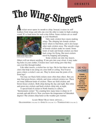 C R I C K E T S
67
Answer:TRUE.
★
Acricket never opens its mouth to chirp. Instead, it raises its stiff
leathery front wings and rubs one over the other to make its high creaking
sound. It’s a loud noise for such a tiny fellow. Some crickets are as small
as your thumbnail.
Only male crickets have music-making
wings. The chirping lets female crickets
know where to find them, and it also keeps
other male crickets away. The smooth wings
of female crickets make no sound. Some
kinds of male and female crickets use their
back wings for flying. But most crickets
travel by hopping and jumping.
Some crickets eat only tiny insects.
Others will eat almost anything. If one gets into your closet, it may make
big holes in your clothes. Crickets have such strong jaws that they
can even bite through leather.
Like other insects, a cricket has six legs. On its feet there are tiny
claws that help it run along on a tree limb or ceiling. You’ll never
guess where a cricket’s ears are. They’re down near the joints of its
front legs!
You may see black field crickets more often than others. But you
may find green-brown, whitish, and straw-colored crickets too. There
are many different kinds of crickets. There are field crickets and
brown house crickets. Both chirp during the day and night. But white
and green tree crickets and bush crickets chirp only at night.
A special kind of cricket in North America is called a
“thermometer cricket.” Try counting how many times it chirps in 15
seconds and add 40 to it. Now you know the temperature in Fahrenheit
degrees! The crickets chirp faster as the weather gets warmer.
LEARN MORE! READ THESE ARTICLES…
GRASSHOPPERS (VOLUME 11) • INSECTS (VOLUME 11) • TEMPERATURES (VOLUME 2)
The Wing-Singers
Cricket on the head of a flower.
© Dennis Johnson—Papilio/Corbis
Crickets
are known to
be such good
“singers”
that they
were once
commonly kept
in Chinese
houses as pets.
DID YOU
KNOW?
 