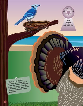 DID YOU KNOW?
A few birds have a curious trick of
stroking their feathers with live ants.
It’s not clear why they do this. One
explanation is that an acid produced
by the ants seems to kill or drive
away insects.
What
do birds
have that no
other animal has?
SEA
RCH LI
GHT
6
 