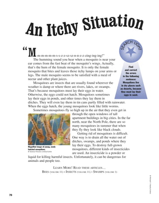 ©RichardT.Nowitz/Corbis
70
M-m-m-m-m-m-s-s-z-z-sz-sz-n-n-z-z-zing-ing-ing!”
The humming sound you hear when a mosquito is near your
ear comes from the fast beat of the mosquito’s wings. Actually,
that’s the hum of the female mosquito. It is only the female
mosquito that bites and leaves those itchy lumps on your arms or
legs. The male mosquito seems to be satisfied with a meal of
nectar and other plant juices.
Mosquitoes are insects that are usually found wherever the
weather is damp or where there are rivers, lakes, or swamps.
That’s because mosquitoes must lay their eggs in water.
Otherwise, the eggs could not hatch. Mosquitoes sometimes
lay their eggs in ponds, and other times they lay them in
ditches. They will even lay them in tin cans partly filled with rainwater.
When the eggs hatch, the young mosquitoes look like little worms.
Sometimes mosquitoes fly so high up in the air that they even get in
through the open windows of tall
apartment buildings in big cities. In the far
north, near the North Pole, there are so
many mosquitoes in summer that when
they fly they look like black clouds.
Getting rid of mosquitoes is difficult.
One way is to drain all the water out of
ditches, swamps, and ponds where they
lay their eggs. To destroy full-grown
mosquitoes, different kinds of insecticides
are used. An insecticide is a powder or
liquid for killing harmful insects. Unfortunately, it can be dangerous for
animals and people too.
LEARN MORE! READ THESE ARTICLES…
BEES (VOLUME 11) • INSECTS (VOLUME 11) • SWAMPS (VOLUME 1)
“
Magnified image of young, newly
hatched mosquitoes.
© Science Pictures Limited/Corbis
Find
and correct
the errors
in the following
sentence:
Mosquitoes live
in dry places such
as deserts, because
they must lay their
eggs in sand.
SEA
RCH LI
GHT
An Itchy Situation
 