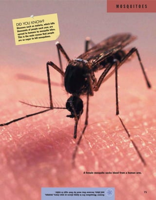 M O S Q U I T O E S
71
Answer:Mosquitoesliveindampplacesornearrivers,swamps,
andlakes,becausetheymustlaytheireggsinwater.
★
A female mosquito sucks blood from a human arm.
DID YOU KNOW?
Diseases such as malaria, which kills
thousands of people each year, are
spread to humans by mosquito bites.
This is the main reason that people
are so eager to kill mosquitoes.
 