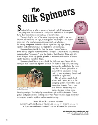 72
Spiders belong to a large group of animals called “arthropods.”
This group also includes crabs, centipedes, and insects. Arthropods
have their skeletons on the outside of their bodies.
Though they’re part of the same larger group, spiders are not
insects. Insects have six legs, while spiders have eight. This makes
them part of a smaller group, the arachnids. Arachnids—
including scorpions and ticks—have eight walking legs. Many
spiders and other arachnids use venom to kill their prey.
Spiders also spin silk. In fact, the word “spider” comes
from an old English word that means “to spin.” Spiders have silk-making
organs called “spinnerets” near the back of their bodies. They spin silk
from a liquid made by special glands. It becomes solid thread after the
spider pushes it out of its body.
Spiders spin different types of silk for different uses. Some silk is
stronger than steel wire. Spiders use silk for webs to trap food, for lining
their nests, and to hold the eggs
they lay. When a spider has to
escape from an enemy, it may
quickly spin a getaway thread and
drop out of sight on it.
Not all spiders catch food
with a web. Some, such as the
jumping spider, pounce like a cat
to capture insects. Others spin
silk funnels, where they hide
during the day before going
hunting at night. The brightly colored crab spider hides between flower
petals and grabs insects looking for nectar. Pirate spiders creep inside the
webs spun by other spiders and then eat them up.
LEARN MORE! READ THESE ARTICLES…
AMAZON: A CLOSE LOOK AT RIVER LIFE (VOLUME 9) • INSECTS (VOLUME 11)
A STORY FROM GHANA: ANANSE AND THE WISDOM POT (VOLUME 5)
Silk SpinnersThe
Many spiders spin webs to trap food—most often
insects such as this unfortunate butterfly.
© Tecmap Corporation—Eric Curry/Corbis
Jumping spider ready to pounce.
© Robert Pickett/Corbis
How does
the pirate
spider
catch its food?
SEA
RCH LI
GHT
 