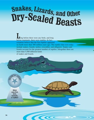 74
Dry-Scaled Beasts
Snakes, Lizards, and Other
Long before there were any birds, and long
before mammals, there were reptiles. In fact,
scientists believe that the first reptiles appeared
on Earth more than 300 million years ago. The reptiles that exist today
include snakes, lizards, turtles, crocodiles, and alligators. Snakes and
lizards account for the greatest number of reptiles. Altogether there are
more than 5,500 different kinds
of snakes and lizards.
Which
came first,
birds,
mammals,
or reptiles?
SEA
RCH LI
GHT
 