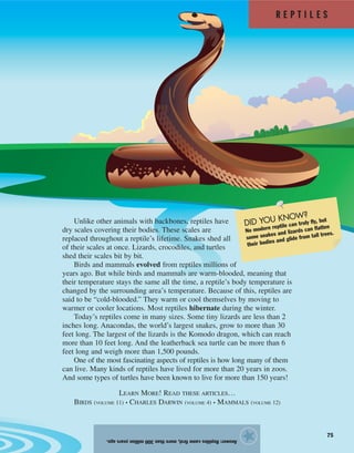 R E P T I L E S
75
Answer:Reptilescamefirst,morethan300millionyearsago.
★
Unlike other animals with backbones, reptiles have
dry scales covering their bodies. These scales are
replaced throughout a reptile’s lifetime. Snakes shed all
of their scales at once. Lizards, crocodiles, and turtles
shed their scales bit by bit.
Birds and mammals evolved from reptiles millions of
years ago. But while birds and mammals are warm-blooded, meaning that
their temperature stays the same all the time, a reptile’s body temperature is
changed by the surrounding area’s temperature. Because of this, reptiles are
said to be “cold-blooded.” They warm or cool themselves by moving to
warmer or cooler locations. Most reptiles hibernate during the winter.
Today’s reptiles come in many sizes. Some tiny lizards are less than 2
inches long. Anacondas, the world’s largest snakes, grow to more than 30
feet long. The largest of the lizards is the Komodo dragon, which can reach
more than 10 feet long. And the leatherback sea turtle can be more than 6
feet long and weigh more than 1,500 pounds.
One of the most fascinating aspects of reptiles is how long many of them
can live. Many kinds of reptiles have lived for more than 20 years in zoos.
And some types of turtles have been known to live for more than 150 years!
LEARN MORE! READ THESE ARTICLES…
BIRDS (VOLUME 11) • CHARLES DARWIN (VOLUME 4) • MAMMALS (VOLUME 12)
DID YOU KNOW?
No modern reptile can truly fly, but
some snakes and lizards can flatten
their bodies and glide from tall trees.
 