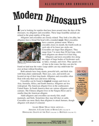 A L L I G A T O R S A N D C R O C O D I L E S
77
If you’re looking for reptiles that have been around since the days of the
dinosaurs, try alligators and crocodiles. These large lizardlike animals are
related to the giant reptiles of the past.
Alligators and crocodiles are closely related. They look a lot alike, but
alligators have a broad flat head with a rounded snout. Most crocodiles
have a narrow, pointed snout. When a
crocodile closes its mouth, the fourth tooth on
each side of its lower jaw sticks out.
Crocodiles are larger than alligators. They
range from 7 to more than 20 feet long, while
most alligators are about 6 to 8 feet long.
Alligators and most crocodiles live along
the edges of large bodies of freshwater such
as lakes, swamps, and rivers. They spend a lot
of time in the water, but they can also be
found on land near the water. Large adults can stay underwater for
over an hour without breathing.
Both animals have long snouts, powerful tails, and thick skin
with bony plates underneath. Their eyes, ears, and nostrils are
located on top of their long heads. Alligators and crocodiles often
float with only their eyes and noses showing.
Crocodiles can be found in tropical swamps and rivers in
Asia, Australia, Africa, and South America. Alligators are less
widespread. The American alligator lives in the southeastern
United States. In South America there are various alligators called
caimans. The Chinese alligator lives in the Yangtze River and is
smaller than the American alligator.
Adult alligators and crocodiles eat mostly fish, small
mammals, and birds. Sometimes they may kill deer or cattle.
Crocodiles are more likely than alligators to attack humans, though
alligators will attack if cornered.
LEARN MORE! READ THESE ARTICLES…
AMAZON: A CLOSE LOOK AT RIVER LIFE (VOLUME 9)
DINOSAURS: GIANTS OF THE PAST (VOLUME 1) • REPTILES (VOLUME 11)
Answer:FALSE.Thoughtheyarerelated,alligatorsandcrocodiles
aretwodifferentanimals.
★
Modern Dinosaurs
Alligators in the Okefenokee Swamp, Georgia.
© David Muench/Corbis
There are
saltwater
crocodiles living
in northern
Australia and
Southeast Asia.
Australians call
their crocodiles
“salties.”
DID YOU
KNOW?
 