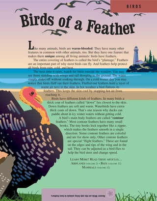 B I R D S
7
Like many animals, birds are warm-blooded. They have many other
features in common with other animals, too. But they have one feature that
makes them unique among all living animals: birds have feathers.
The entire covering of feathers is called the bird’s “plumage.” Feathers
are an important part of why most birds can fly. And feathers help protect
all birds from rain, cold, and heat.
The next time it rains, watch for birds outside the window. You may
see them standing with wings and tail drooping to the ground. The water
simply slides off without soaking through. On a cold winter day you may
notice that birds fluff out their feathers. Fluffed-out feathers hold a layer of
warm air next to the skin. In hot weather a bird flattens its
feathers. This keeps the skin cool by stopping hot air from
reaching it.
Birds have different kinds of feathers. In many birds a
thick coat of feathers called “down” lies closest to the skin.
Down feathers are soft and warm. Waterbirds have extra-
thick coats of down. That’s one reason why ducks can
paddle about in icy winter waters without getting cold.
A bird’s main body feathers are called “contour
feathers.” Most contour feathers have many small
hooks. The tiny hooks lock together like a zipper,
which makes the feathers smooth in a single
direction. Some contour feathers are colorful
and are for show only. Other contour feathers
are special “flight feathers.” These are found
on the edges and tips of the wing and in the
tail. They can be adjusted as a bird flies to
help the bird steer and change speed.
Answer:Birdsaretheonlylivinganimalstohavefeathers.
★
Birds of a Feather
LEARN MORE! READ THESE ARTICLES…
AIRPLANES (VOLUME 2) • BATS (VOLUME 12)
MAMMALS (VOLUME 12)
 