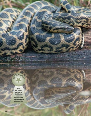 80
Find
and correct
the error in
the following
sentence:
Anacondas kill
their prey with a
poisonous bite.
SEA
RCH LI
GHT
 