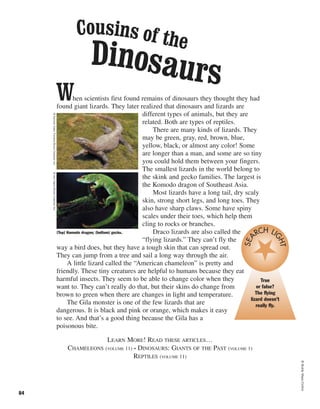 ©BuddyMays/Corbis
84
When scientists first found remains of dinosaurs they thought they had
found giant lizards. They later realized that dinosaurs and lizards are
different types of animals, but they are
related. Both are types of reptiles.
There are many kinds of lizards. They
may be green, gray, red, brown, blue,
yellow, black, or almost any color! Some
are longer than a man, and some are so tiny
you could hold them between your fingers.
The smallest lizards in the world belong to
the skink and gecko families. The largest is
the Komodo dragon of Southeast Asia.
Most lizards have a long tail, dry scaly
skin, strong short legs, and long toes. They
also have sharp claws. Some have spiny
scales under their toes, which help them
cling to rocks or branches.
Draco lizards are also called the
“flying lizards.” They can’t fly the
way a bird does, but they have a tough skin that can spread out.
They can jump from a tree and sail a long way through the air.
A little lizard called the “American chameleon” is pretty and
friendly. These tiny creatures are helpful to humans because they eat
harmful insects. They seem to be able to change color when they
want to. They can’t really do that, but their skins do change from
brown to green when there are changes in light and temperature.
The Gila monster is one of the few lizards that are
dangerous. It is black and pink or orange, which makes it easy
to see. And that’s a good thing because the Gila has a
poisonous bite.
LEARN MORE! READ THESE ARTICLES…
CHAMELEONS (VOLUME 11) • DINOSAURS: GIANTS OF THE PAST (VOLUME 1)
REPTILES (VOLUME 11)
(Top) Komodo dragon; (bottom) gecko.
©NormanOwenTomalin/BruceColemanInc.©KimTaylor/BruceColemanInc.
True
or false?
The flying
lizard doesn’t
really fly.
SEA
RCH LI
GHT
Cousins of the
Dinosaurs
 