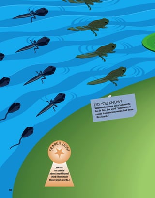 90
What’s
so special
about amphibians?
(Hint: Remember
those Greek words.)
SEA
RCH LI
GHT
DID YOU KNOW?
Salamanders were once believed to
live in fire. The word “salamander”
comes from ancient words that mean
“fire lizard.”
 