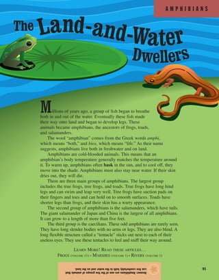 A M P H I B I A N S
91
Answer:Amphibiansareoneofthefewgroupsofanimalsthat
canlivecomfortablybothinthewaterandontheland.
★
Millions of years ago, a group of fish began to breathe
both in and out of the water. Eventually these fish made
their way onto land and began to develop legs. These
animals became amphibians, the ancestors of frogs, toads,
and salamanders.
The word “amphibian” comes from the Greek words amphi,
which means “both,” and bios, which means “life.” As their name
suggests, amphibians live both in freshwater and on land.
Amphibians are cold-blooded animals. This means that an
amphibian’s body temperature generally matches the temperature around
it. To warm up, amphibians often bask in the sun, and to cool off, they
move into the shade. Amphibians must also stay near water. If their skin
dries out, they will die.
There are three main groups of amphibians. The largest group
includes the true frogs, tree frogs, and toads. True frogs have long hind
legs and can swim and leap very well. Tree frogs have suction pads on
their fingers and toes and can hold on to smooth surfaces. Toads have
shorter legs than frogs, and their skin has a warty appearance.
The second group of amphibians is the salamanders, which have tails.
The giant salamander of Japan and China is the largest of all amphibians.
It can grow to a length of more than five feet.
The third group is the caecilians. These odd amphibians are rarely seen.
They have long slender bodies with no arms or legs. They are also blind. A
long flexible structure called a “tentacle” sticks out next to each of their
useless eyes. They use these tentacles to feel and sniff their way around.
LEARN MORE! READ THESE ARTICLES…
FROGS (VOLUME 11) • MARSHES (VOLUME 1) • RIVERS (VOLUME 1)
The
Dwellers
Land-and-Water
 