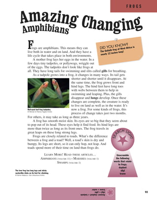 F R O G S
93
Frogs are amphibians. This means they can
live both in water and on land. And they have a
life cycle that takes place in both environments.
A mother frog lays her eggs in the water. In a
few days tiny tadpoles, or pollywogs, wriggle out
of the eggs. The tadpoles don’t look like frogs at
all. They have long tails for swimming and slits called gills for breathing.
As a tadpole grows into a frog, it changes in many ways. Its tail gets
shorter and shorter until it disappears. At
the same time, the frog grows front and
hind legs. The hind feet have long toes
with webs between them to help in
swimming and leaping. Plus, the gills
disappear and lungs develop. Once these
changes are complete, the creature is ready
to live on land as well as in the water. It’s
now a frog. For some kinds of frogs, this
process of change takes just two months.
For others, it may take as long as three years.
A frog has smooth moist skin. Its eyes are so big that they seem about
to pop out of its head. These eyes help it find food. Its hind legs are
more than twice as long as its front ones. The frog travels in
great leaps on these long strong legs.
Frogs are closely related to toads. What’s the difference
between a frog and a toad? Well, a toad’s skin is dry and
bumpy. Its legs are short, so it can only hop, not leap. And
toads spend more of their time on land than frogs do.
LEARN MORE! READ THESE ARTICLES…
AMPHIBIANS (VOLUME 11) • MARSHES (VOLUME 1)
SWAMPS (VOLUME 1)
Answer:daploet=tadpole
sligl=gills
traew=water
★Red-eyed leaf frog tadpoles.
© Michael & Patricia Fogden/Corbis
The tree frog has long legs and sticky
suckerlike disks on its feet for climbing.
© Darren Maybury—Eye Ubiquitous/Corbis
DID YOU KNOW?
The Goliath frog of West Africa is
nearly 12 inches long!
Unscramble
the following
words that relate
to frogs.
daploet
sligl
traew
SEA
RCH LI
GHT
Amphibians
Amazing Changing
 