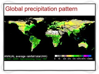 Global precipitation pattern
 