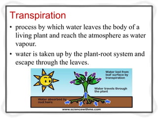 Transpiration
• process by which water leaves the body of a
living plant and reach the atmosphere as water
vapour.
• water is taken up by the plant-root system and
escape through the leaves.
 