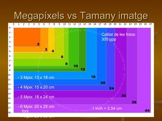 Megapíxels vs Tamany imatgeMegapíxels vs Tamany imatge
1 inch = 2.54 cm
font
Calitat de les fotos:
300 ppp
- 3 Mpix: 13 x 18 cm
- 4 Mpix: 15 x 20 cm
- 5 Mpix: 18 x 24 cm
- 6 Mpix: 20 x 25 cm
- 7 Mpix: 20 x 30 cm
 