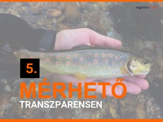 MÉRHETŐTRANSZPARENSEN
5.
 