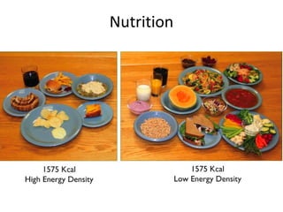 Nutrition
Think about Calorie Density
and less about individual
Calories
 