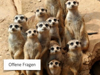 Offene Fragen
 