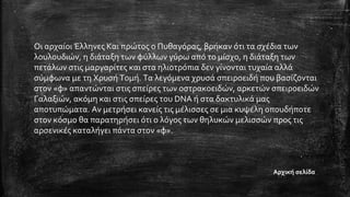 Οι αρχαίοι Έλληνες Και πρώτος ο Πυθαγόρας, βρήκαν ότι τα σχέδια των
λουλουδιών, η διάταξη των φύλλων γύρω από το μίσχο, η διάταξη των
πετάλων στις μαργαρίτες και στα ηλιοτρόπια δεν γίνονται τυχαία αλλά
σύμφωνα με τη Χρυσή Τομή. Τα λεγόμενα χρυσά σπειροειδή που βασίζονται
στον «φ» απαντώνται στις σπείρες των οστρακοειδών, αρκετών σπειροειδών
Γαλαξιών, ακόμη και στις σπείρες του DNA ή στα δακτυλικά μας
αποτυπώματα. Αν μετρήσει κανείς τις μέλισσες σε μια κυψέλη οπουδήποτε
στον κόσμο θα παρατηρήσει ότι ο λόγος των θηλυκών μελισσών προς τις
αρσενικές καταλήγει πάντα στον «φ».
Αρχική σελίδα
 