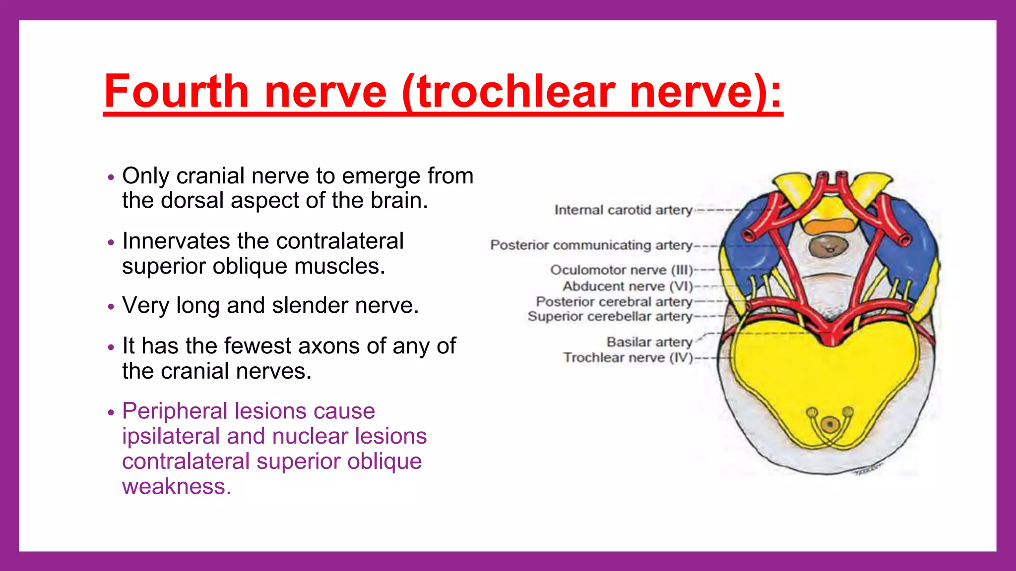 Ocular nerve palsy - 3rd, 4th and 6th cranial nerve palsy | PPTX