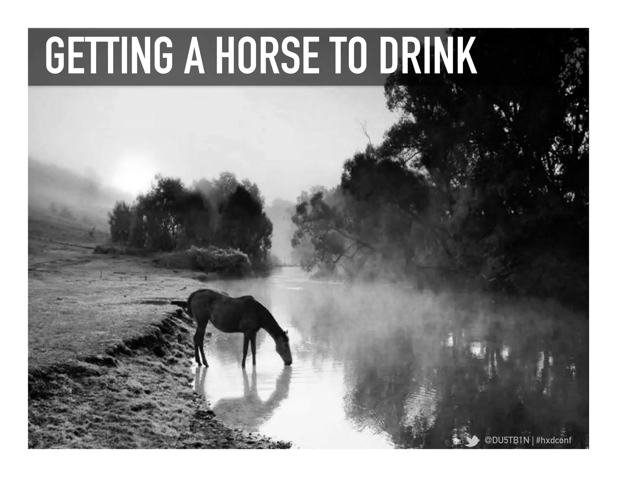 GETTING A HORSE TO DRINK	
  




                           @DU5TB1N | #hxdconf
 