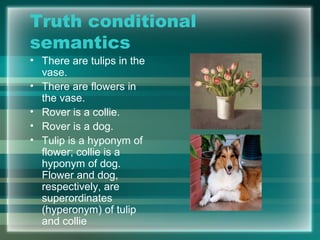Truth conditional
semantics
• There are tulips in the
vase.
• There are flowers in
the vase.
• Rover is a collie.
• Rover is a dog.
• Tulip is a hyponym of
flower; collie is a
hyponym of dog.
Flower and dog,
respectively, are
superordinates
(hyperonym) of tulip
and collie
 