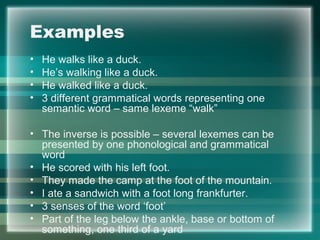 Examples
• He walks like a duck.
• He’s walking like a duck.
• He walked like a duck.
• 3 different grammatical words representing one
semantic word – same lexeme “walk”
• The inverse is possible – several lexemes can be
presented by one phonological and grammatical
word
• He scored with his left foot.
• They made the camp at the foot of the mountain.
• I ate a sandwich with a foot long frankfurter.
• 3 senses of the word ‘foot’
• Part of the leg below the ankle, base or bottom of
something, one third of a yard
 