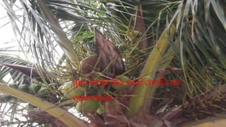 que neste dia você confie na
esperança,
 