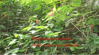 Há pessoas que apenas
vivem o dia a dia, você não!
 