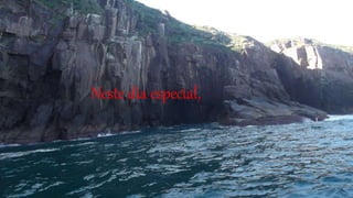 Neste dia especial,
 