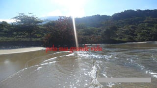 pela sua grande vida
 