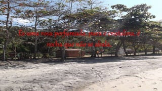 És uma rosa perfumada, pura e cristalina, é
rocha que não se abala,
 