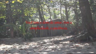 Você tem o dom de amar, tem a
simplicidade, a paciência,
 