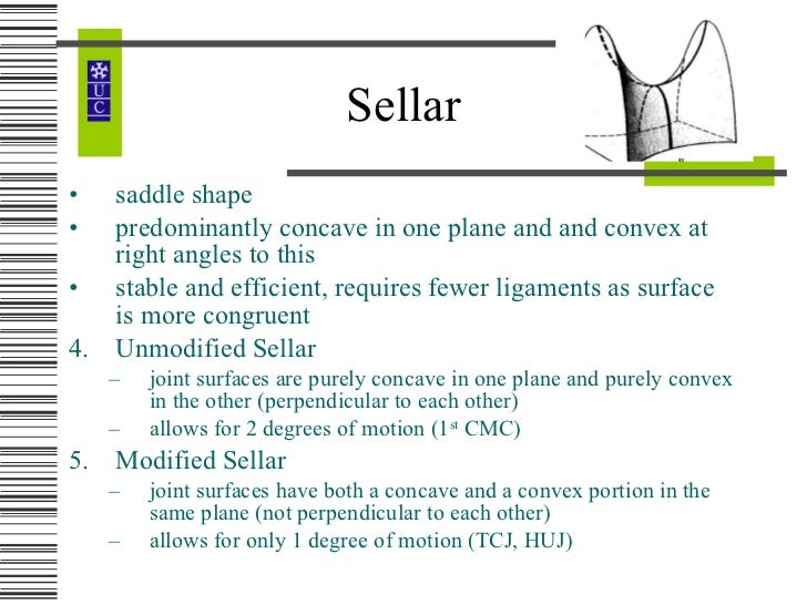 History of Manual Therapy and Arthrology