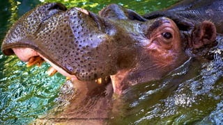 Photo: CC: http://www.flickr.com/photos/aigle_dore/6672141083
 