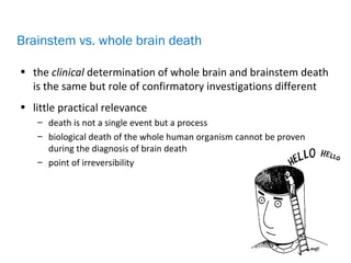 • the clinical determination of whole brain and brainstem death
is the same but role of confirmatory investigations different
• little practical relevance
– death is not a single event but a process
– biological death of the whole human organism cannot be proven
during the diagnosis of brain death
– point of irreversibility
Brainstem vs. whole brain death
 