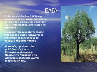 ΕΙΑ Η ελιά ή ελαιόδενδρο ή λιόδεντρο καλλιεργείται  στη χώρα  μας από τα αρχαία χρόνια. Ελαιώνες υπάρχουν κυρίως στα παραθαλάσσια μέρη και στα νησιά. Ο καρπός του ονομάζεται επίσης ελιά και από αυτόν παράγεται το ελαιόλαδο. Η ελιά υπήρξε το σύμβολο της θεάς Αθηνάς. Ο καρπός της ελιάς  είναι πολύ   βασικός για τη Μεσογειακή διατροφή. Ωριμάζει το Νοέμβριο ή το Δεκέμβριο οπότε και γίνεται η συγκομιδή του. 