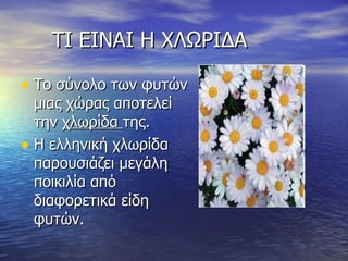 ΤΙ ΕΙΝΑΙ Η ΧΛΩΡΙΔΑ Το σύνολο των φυτών μιας χώρας αποτελεί την  χλωρίδα  της. Η ελληνική χλωρίδα παρουσιάζει μεγάλη ποικιλία από διαφορετικά είδη φυτών. 