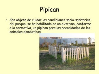 Pipican
• Con objeto de cuidar las condiciones socio-sanitarias
  del parque, se ha habilitado en un extremo, conforme
  a la normativa, un pipican para las necesidades de los
  animales domésticos
 