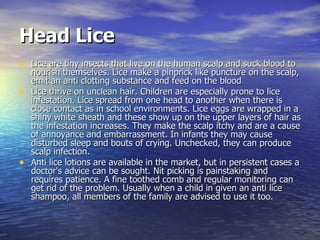 Head Lice Lice are tiny insects that live on the human scalp and suck blood to nourish themselves. Lice make a pinprick like puncture on the scalp, emit an anti clotting substance and feed on the blood  Lice thrive on unclean hair. Children are especially prone to lice infestation. Lice spread from one head to another when there is close contact as in school environments. Lice eggs are wrapped in a shiny white sheath and these show up on the upper layers of hair as the infestation increases. They make the scalp itchy and are a cause of annoyance and embarrassment. In infants they may cause disturbed sleep and bouts of crying. Unchecked, they can produce scalp infection.  Anti lice lotions are available in the market, but in persistent cases a doctor's advice can be sought. Nit picking is painstaking and requires patience. A fine toothed comb and regular monitoring can get rid of the problem. Usually when a child in given an anti lice shampoo, all members of the family are advised to use it too.  