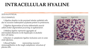 Hyaline Inclusions Hyaline changes in pathology presentation.pptx