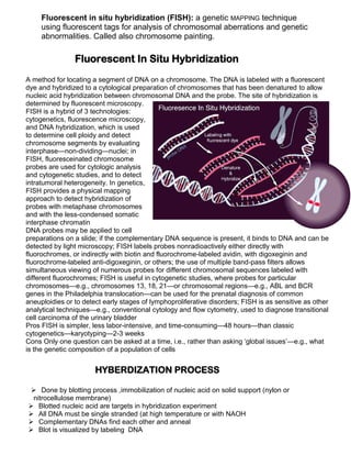 Fluorescent in situ hybridization (FISH): a genetic MAPPING technique
using fluorescent tags for analysis of chromosomal aberrations and genetic
abnormalities. Called also chromosome painting.

Fluorescent In Situ Hybridization
A method for locating a segment of DNA on a chromosome. The DNA is labeled with a fluorescent
dye and hybridized to a cytological preparation of chromosomes that has been denatured to allow
nucleic acid hybridization between chromosomal DNA and the probe. The site of hybridization is
determined by fluorescent microscopy.
FISH is a hybrid of 3 technologies:
cytogenetics, fluorescence microscopy,
and DNA hybridization, which is used
to determine cell ploidy and detect
chromosome segments by evaluating
interphase—non-dividing—nuclei; in
FISH, fluoresceinated chromosome
probes are used for cytologic analysis
and cytogenetic studies, and to detect
intratumoral heterogeneity. In genetics,
FISH provides a physical mapping
approach to detect hybridization of
probes with metaphase chromosomes
and with the less-condensed somatic
interphase chromatin
DNA probes may be applied to cell
preparations on a slide; if the complementary DNA sequence is present, it binds to DNA and can be
detected by light microscopy; FISH labels probes nonradioactively either directly with
fluorochromes, or indirectly with biotin and fluorochrome-labeled avidin, with digoxeginin and
fluorochrome-labeled anti-digoxeginin, or others; the use of multiple band-pass filters allows
simultaneous viewing of numerous probes for different chromosomal sequences labeled with
different fluorochromes; FISH is useful in cytogenetic studies, where probes for particular
chromosomes—e.g., chromosomes 13, 18, 21—or chromosomal regions—e.g., ABL and BCR
genes in the Philadelphia translocation—can be used for the prenatal diagnosis of common
aneuploidies or to detect early stages of lymphoproliferative disorders; FISH is as sensitive as other
analytical techniques—e.g., conventional cytology and flow cytometry, used to diagnose transitional
cell carcinoma of the urinary bladder
Pros FISH is simpler, less labor-intensive, and time-consuming—48 hours—than classic
cytogenetics—karyotyping—2-3 weeks
Cons Only one question can be asked at a time, i.e., rather than asking ‘global issues’—e.g., what
is the genetic composition of a population of cells

HYBERDIZATION PROCESS
 Done by blotting process ,immobilization of nucleic acid on solid support (nylon or
nitrocellulose membrane)
 Blotted nucleic acid are targets in hybridization experiment
 All DNA must be single stranded (at high temperature or with NAOH
 Complementary DNAs find each other and anneal
 Blot is visualized by labeling DNA

 