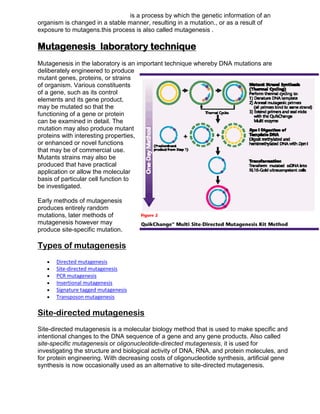 is a process by which the genetic information of an
organism is changed in a stable manner, resulting in a mutation., or as a result of
exposure to mutagens.this process is also called mutagenesis .

Mutagenesis laboratory technique
Mutagenesis in the laboratory is an important technique whereby DNA mutations are
deliberately engineered to produce
mutant genes, proteins, or strains
of organism. Various constituents
of a gene, such as its control
elements and its gene product,
may be mutated so that the
functioning of a gene or protein
can be examined in detail. The
mutation may also produce mutant
proteins with interesting properties,
or enhanced or novel functions
that may be of commercial use.
Mutants strains may also be
produced that have practical
application or allow the molecular
basis of particular cell function to
be investigated.
Early methods of mutagenesis
produces entirely random
mutations, later methods of
mutagenesis however may
produce site-specific mutation.

Types of mutagenesis







Directed mutagenesis
Site-directed mutagenesis
PCR mutagenesis
Insertional mutagenesis
Signature tagged mutagenesis
Transposon mutagenesis

Site-directed mutagenesis
Site-directed mutagenesis is a molecular biology method that is used to make specific and
intentional changes to the DNA sequence of a gene and any gene products. Also called
site-specific mutagenesis or oligonucleotide-directed mutagenesis, it is used for
investigating the structure and biological activity of DNA, RNA, and protein molecules, and
for protein engineering. With decreasing costs of oligonucleotide synthesis, artificial gene
synthesis is now occasionally used as an alternative to site-directed mutagenesis.

 