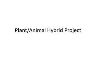 Plant/Animal Hybrid Project  