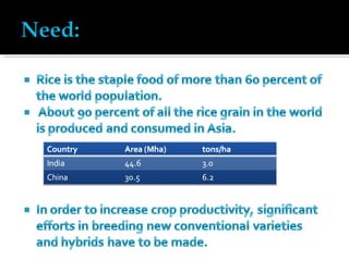 Cooked Course Hybrid Rice Hybrid Rice | PPT