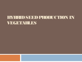 HYBRIDSEEDPRODUCTION IN
VEGETABLES
 